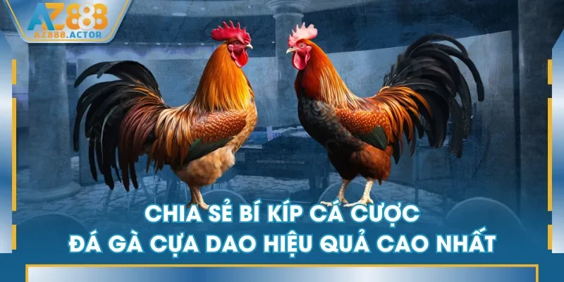 Chia sẻ bí kíp cá cược đá gà cựa dao hiệu quả cao nhất Chia sẻ bí kíp cá cược đá gà cựa dao hiệu quả cao nhất