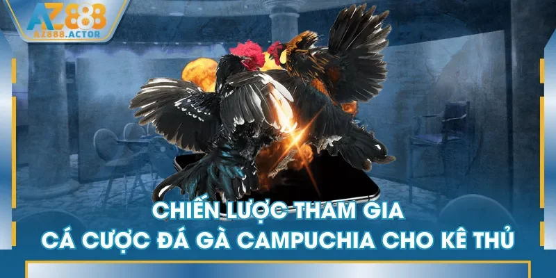Chiến lược tham gia cá cược đá gà Campuchia cho kê thủ