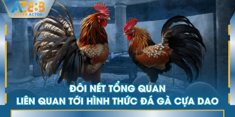 Đôi nét tổng quan liên quan tới hình thức đá gà cựa dao Đôi nét tổng quan liên quan tới hình thức đá gà cựa dao
